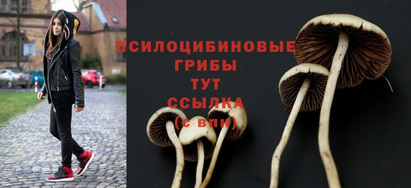 ешки Верхнеуральск