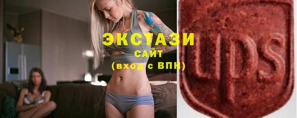 дживик Верхний Тагил