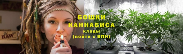 дживик Верхний Тагил